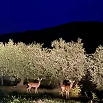 La Gemma Del Subasio Nel Castello Di - Spello Prázdninový dům