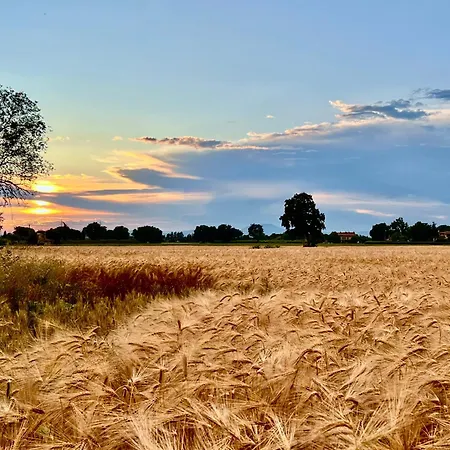 La Gemma Del Subasio Nel Castello Di - Spello 펜션