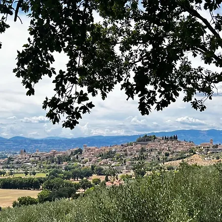 La Gemma Del Subasio Nel Castello Di - Spello Collepino