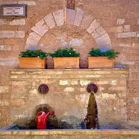 Ferienhaus La Gemma Del Subasio Nel Castello Di - Spello