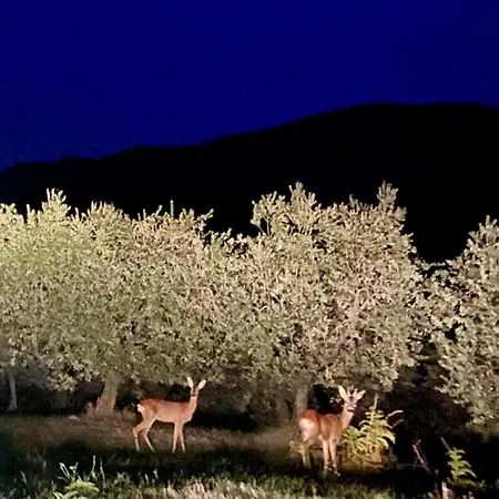La Gemma Del Subasio Nel Castello Di - Spello 펜션